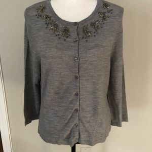 Garnet Hill Merino Wool button down sweater